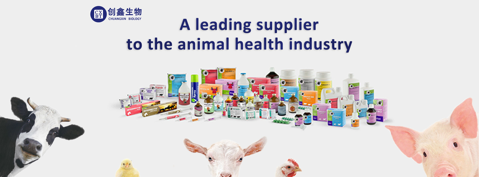 качество Ветеринарные вводимые лекарства завод